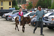 Child lead on a donkey ride