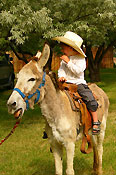 Young cowboy on a burro
